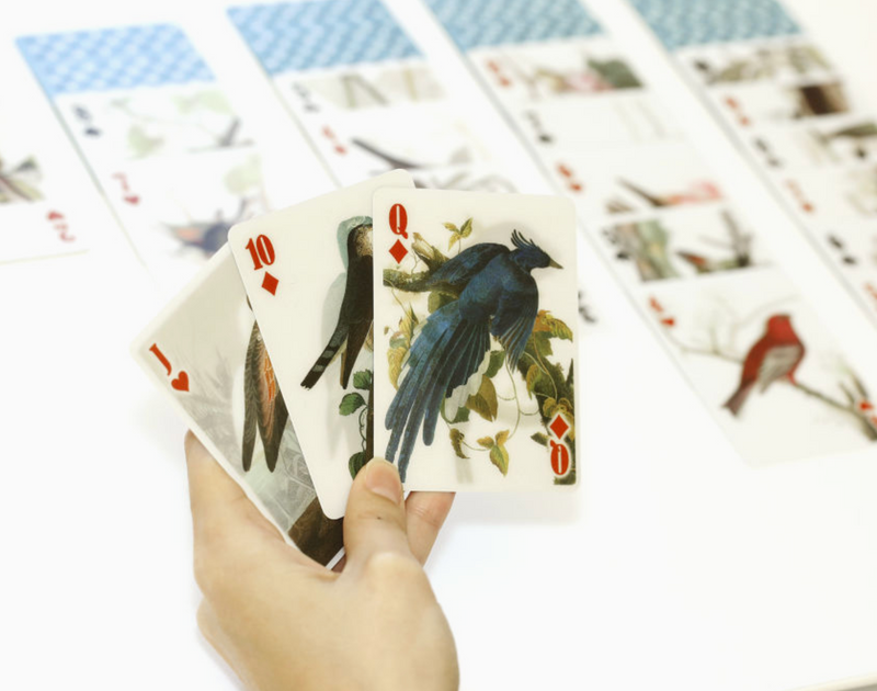 3D birds playing cards