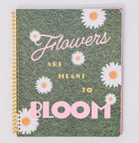 floral stripe:  Rough draft  notebook