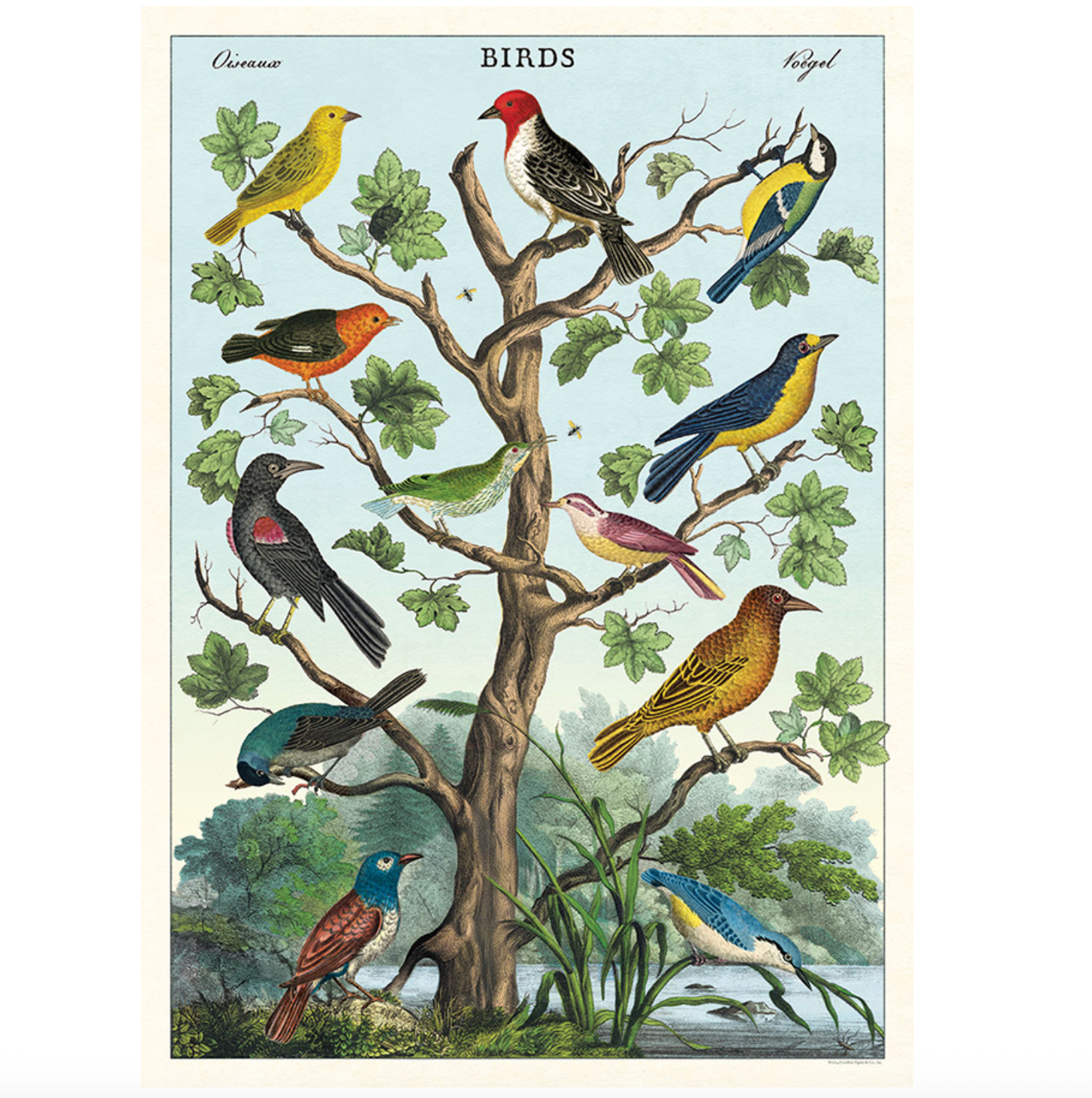 Birds in a Tree Poster