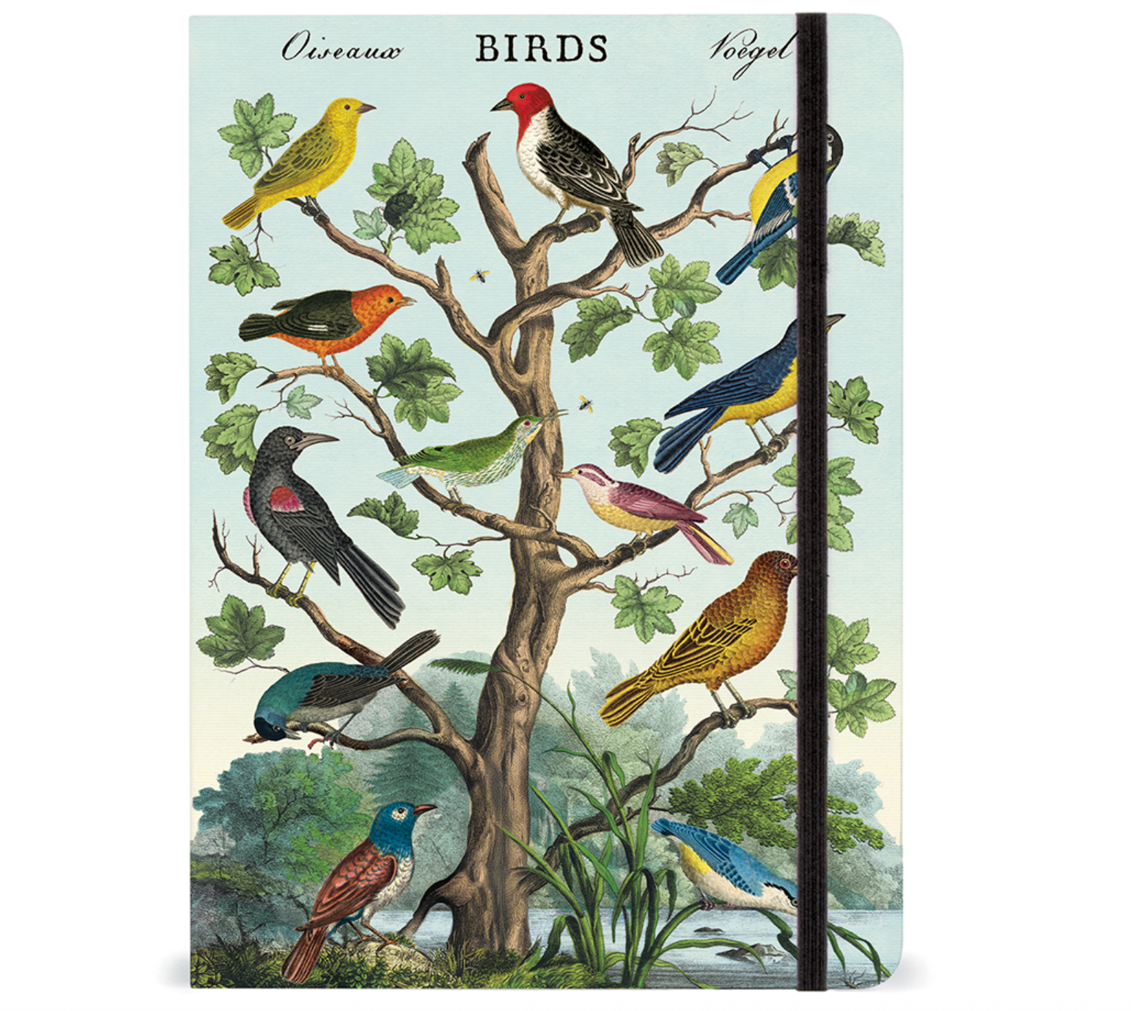 Birds Large Notebook