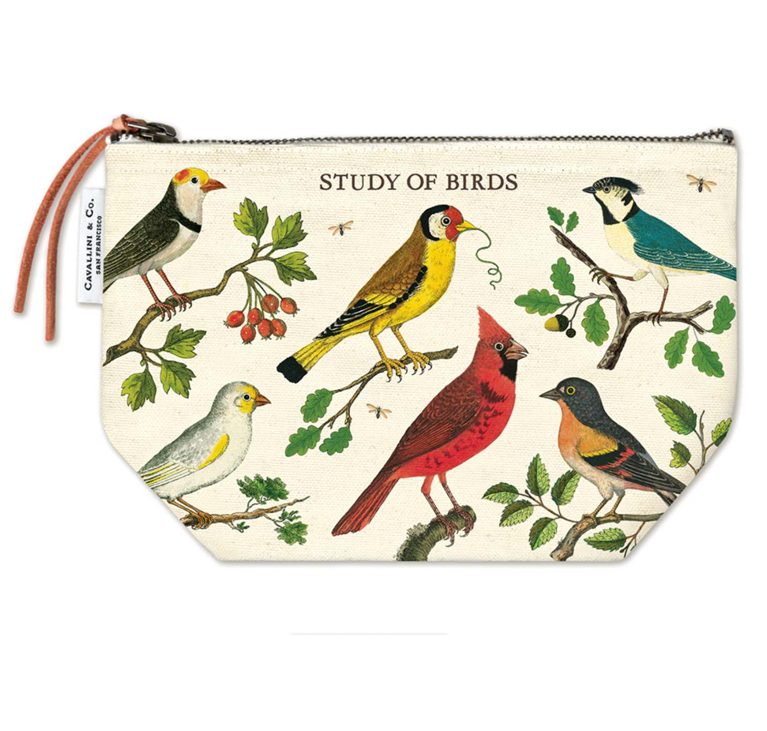 Study of Birds vintage pouch