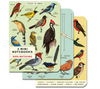birds :mini notebook 3 set