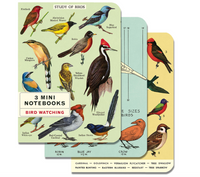 birds :mini notebook 3 set