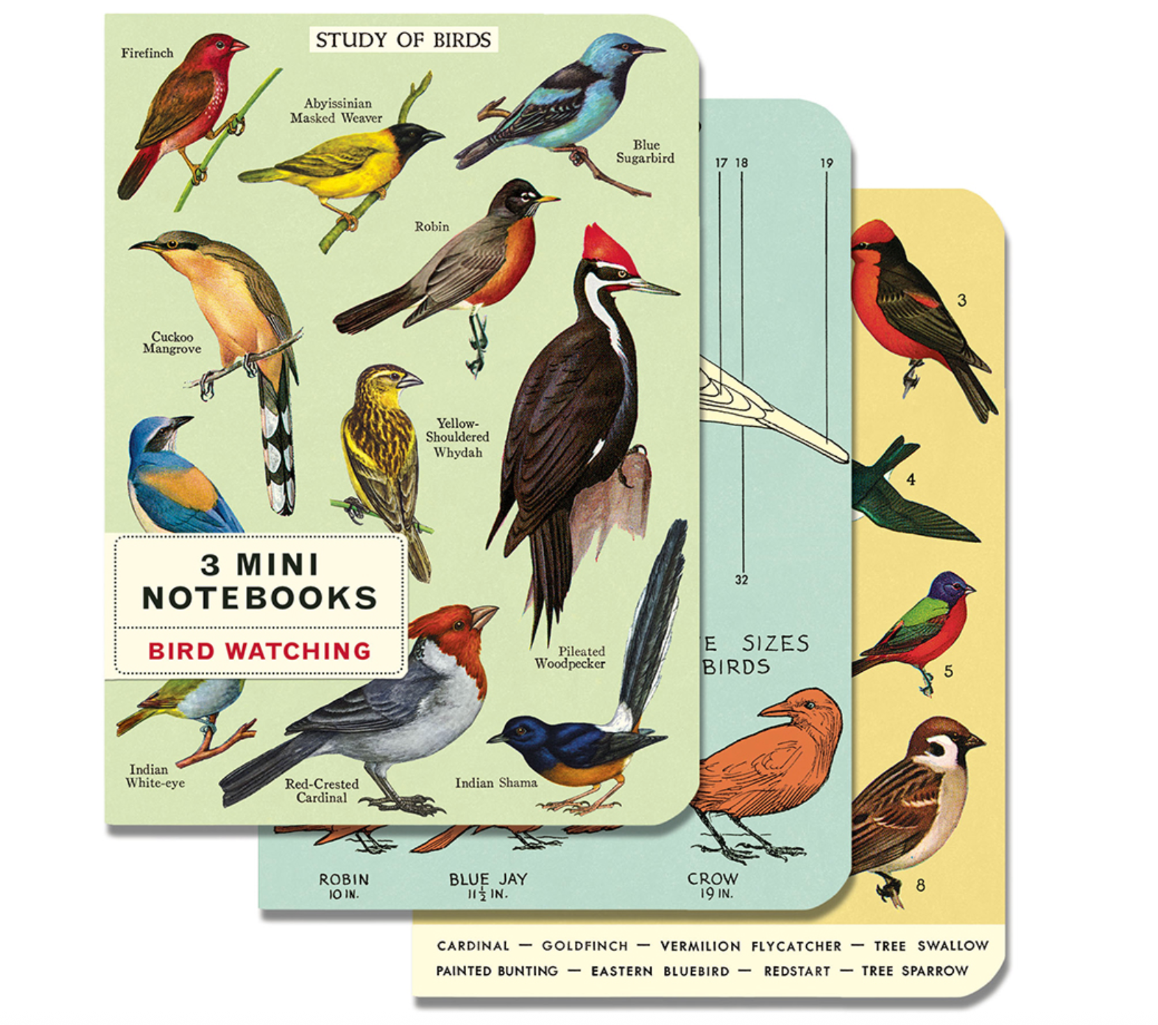 birds :mini notebook 3 set