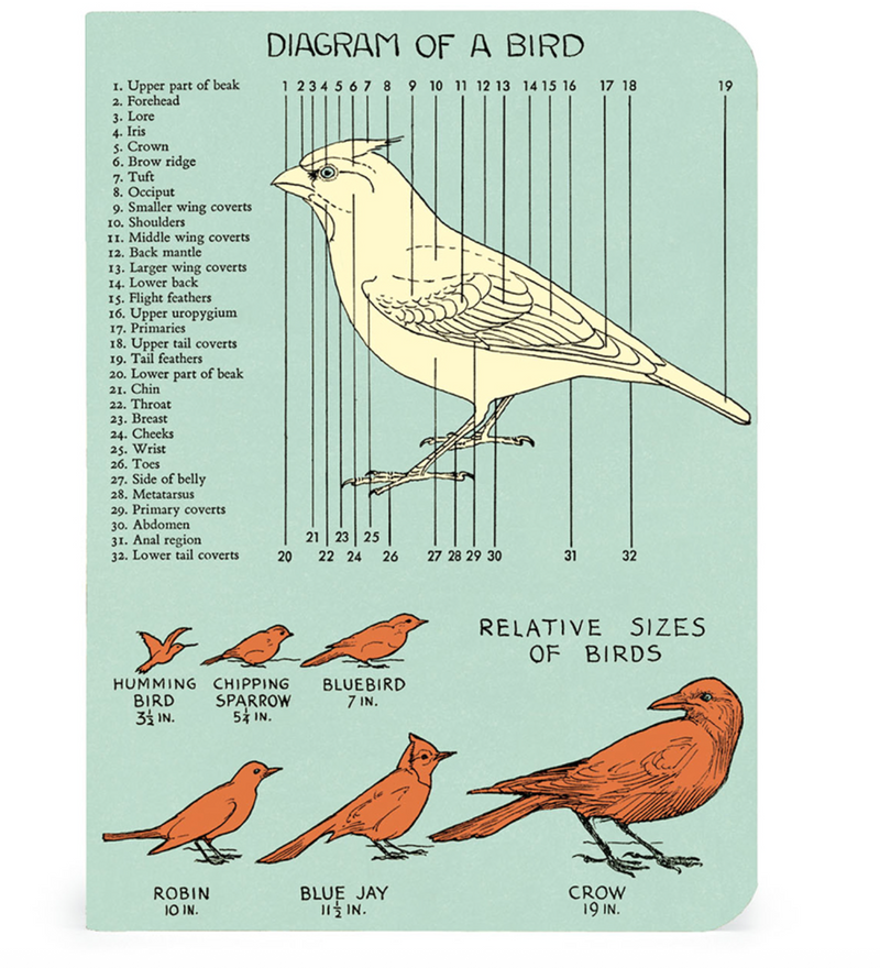 birds :mini notebook 3 set