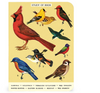 birds :mini notebook 3 set