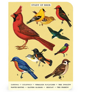 birds :mini notebook 3 set