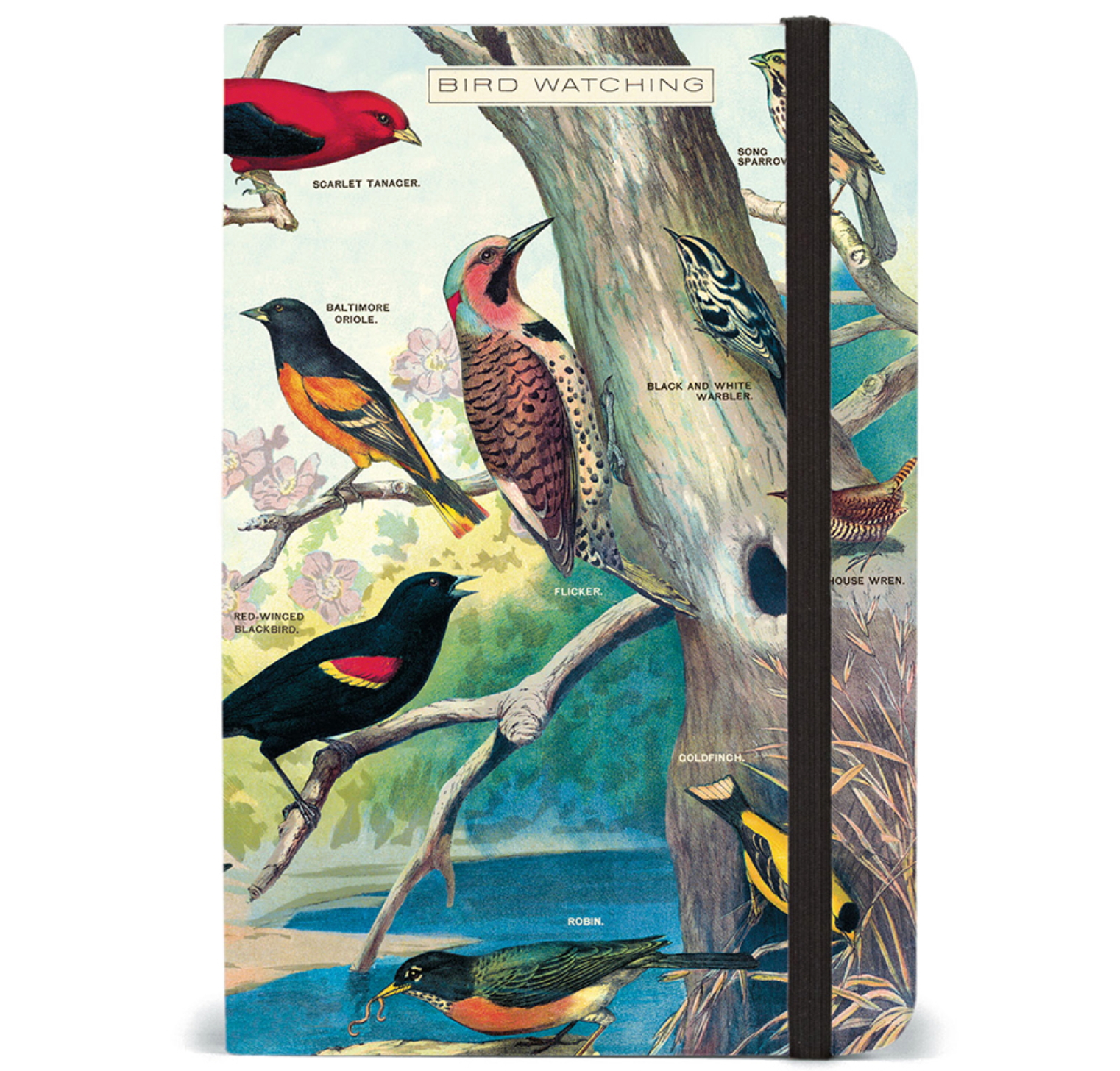 bird small notebook