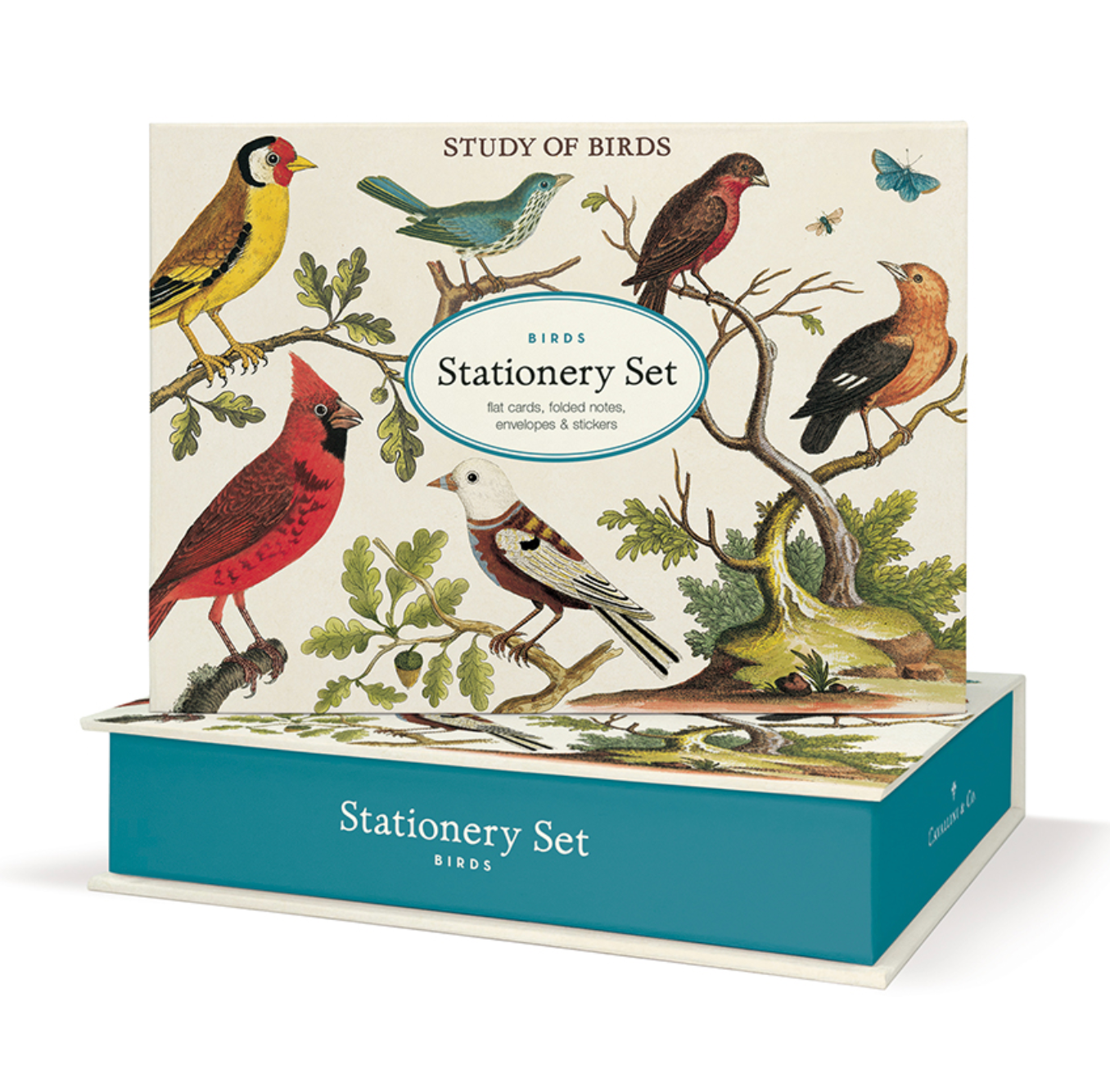 birds stationery set