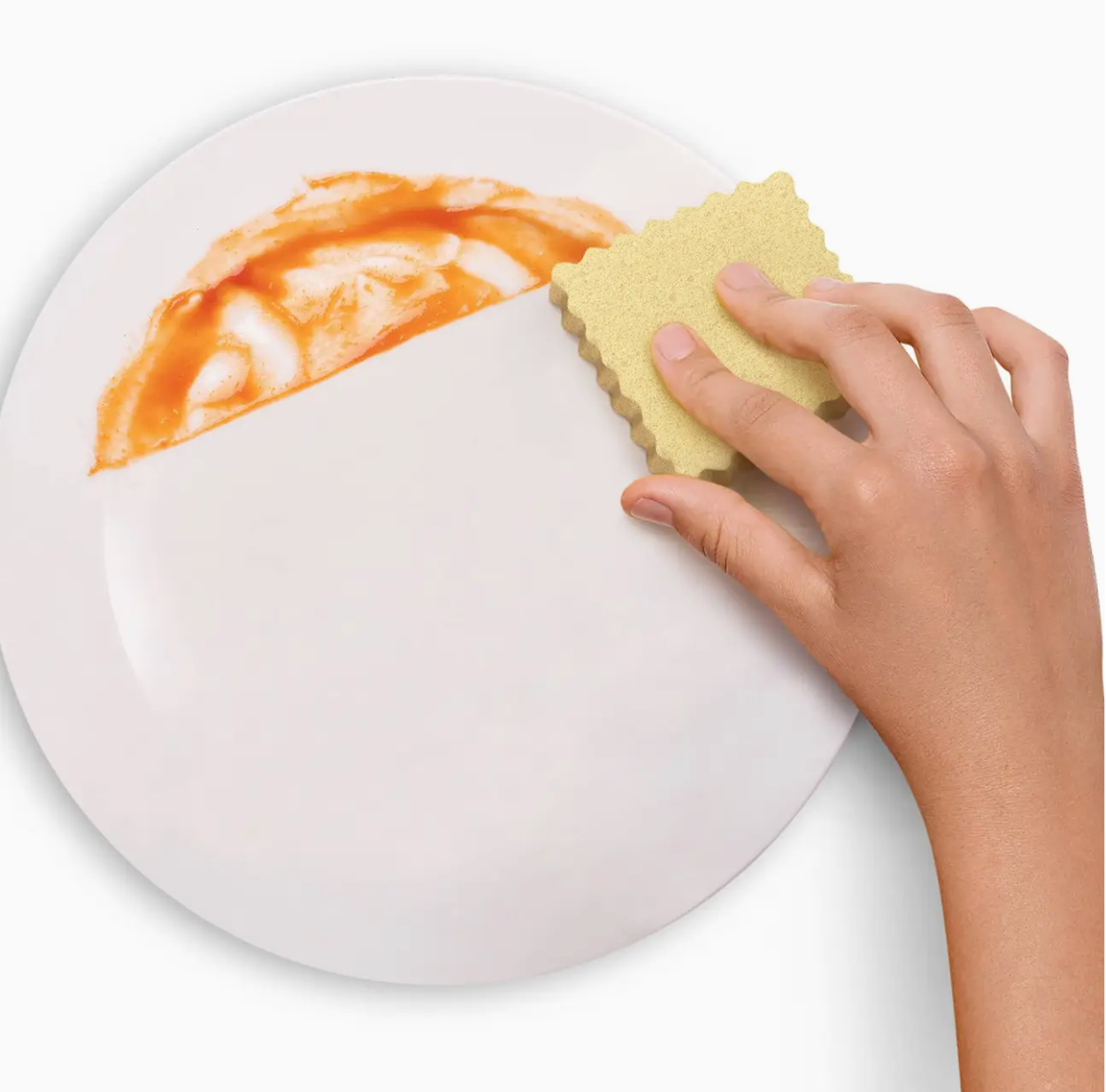 Sponges - Spongioli - Set of 6 - Ravioli Compressed Sponges