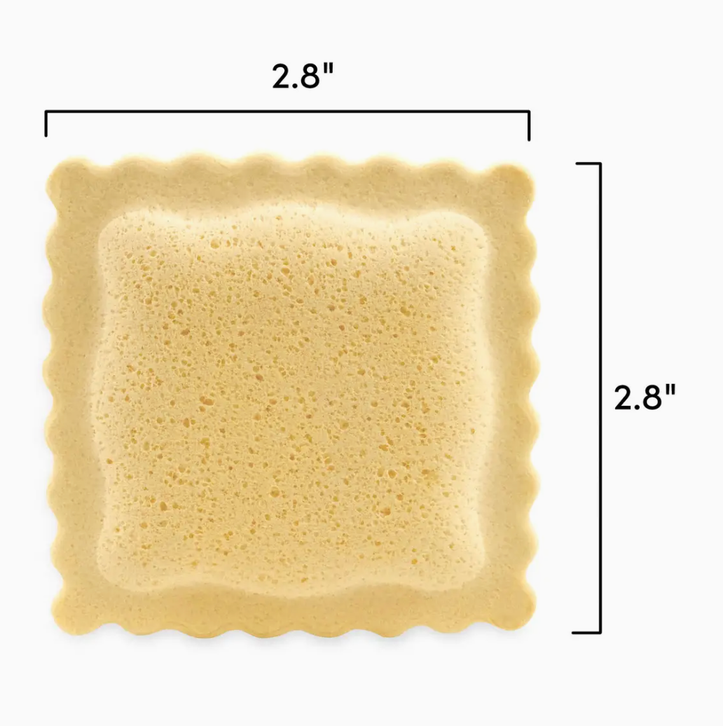 Sponges - Spongioli - Set of 6 - Ravioli Compressed Sponges