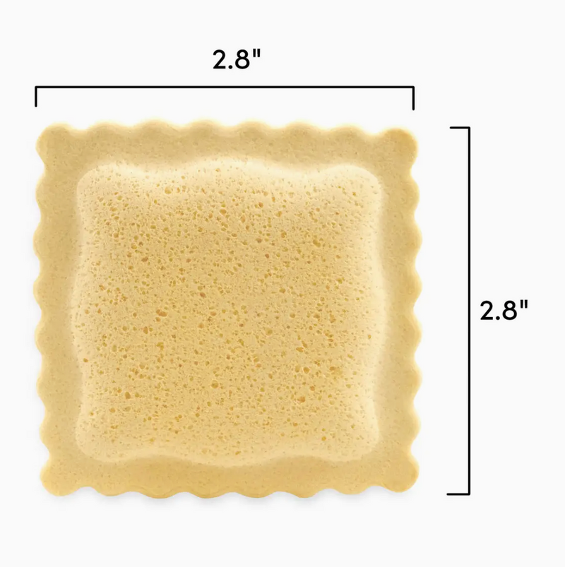 Sponges - Spongioli - Set of 6 - Ravioli Compressed Sponges