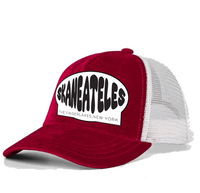 velvet trucker hat: SKANEATELES