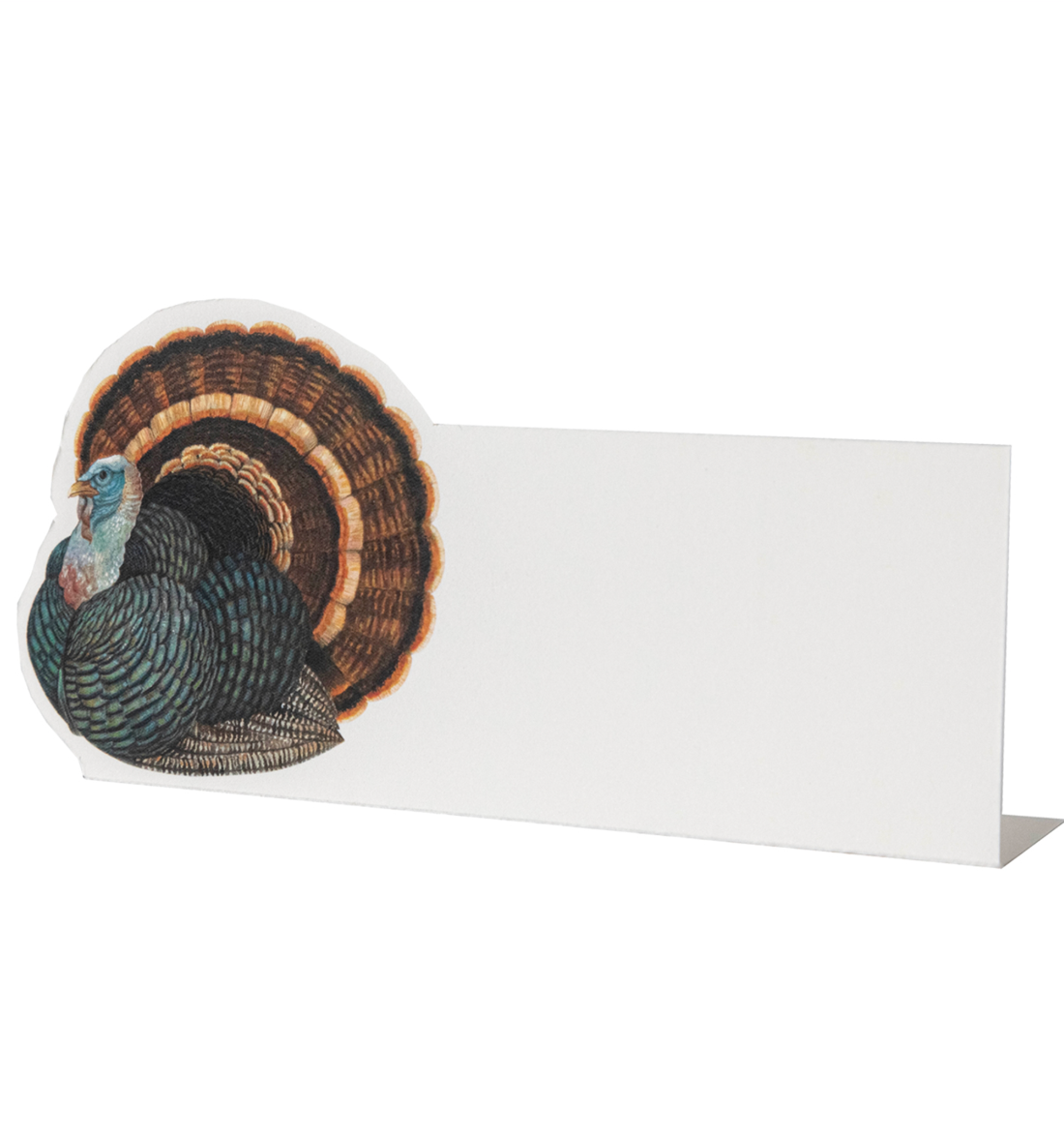 turkey placecard