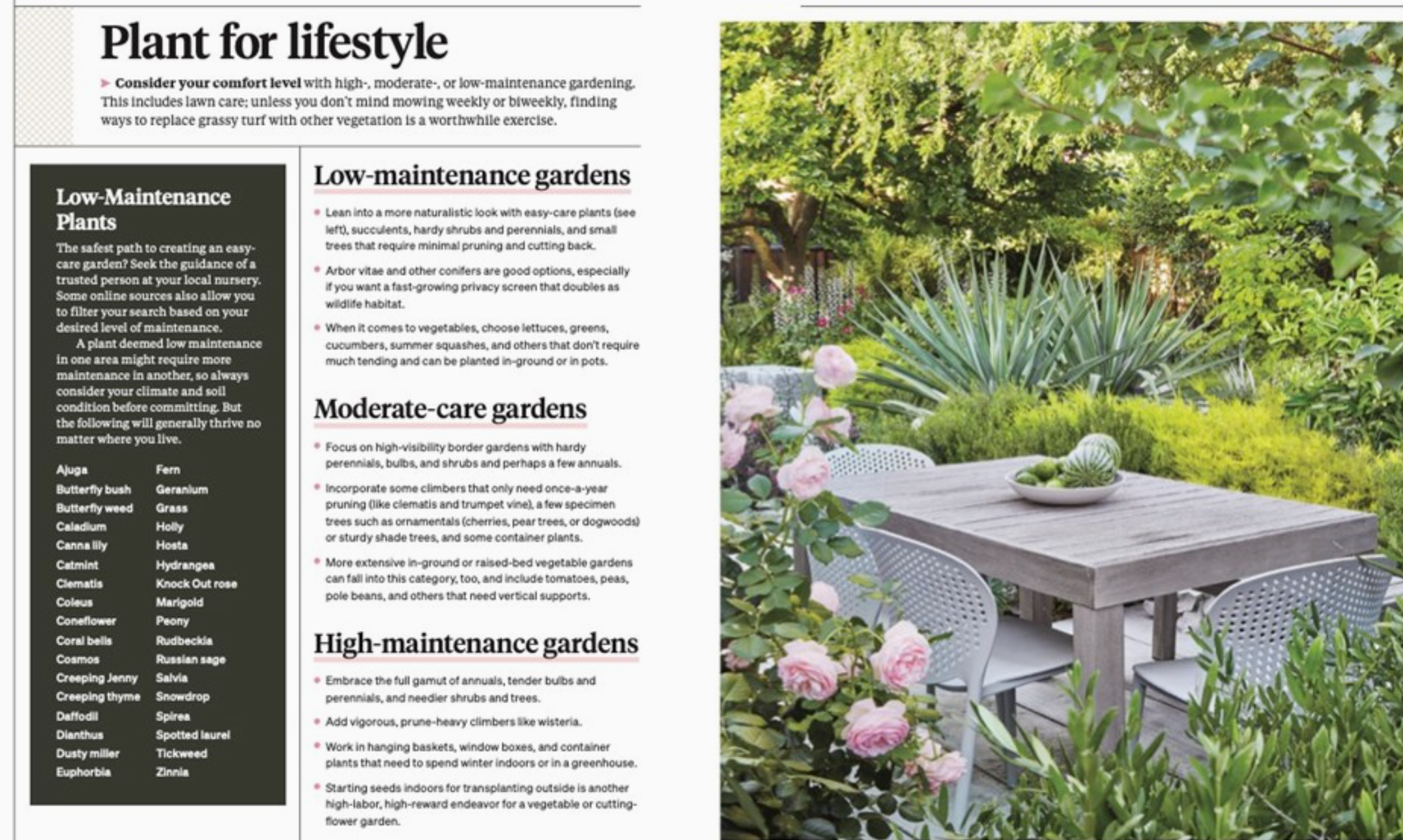 Martha Stewart's Gardening Handbook: Martha Stewart
