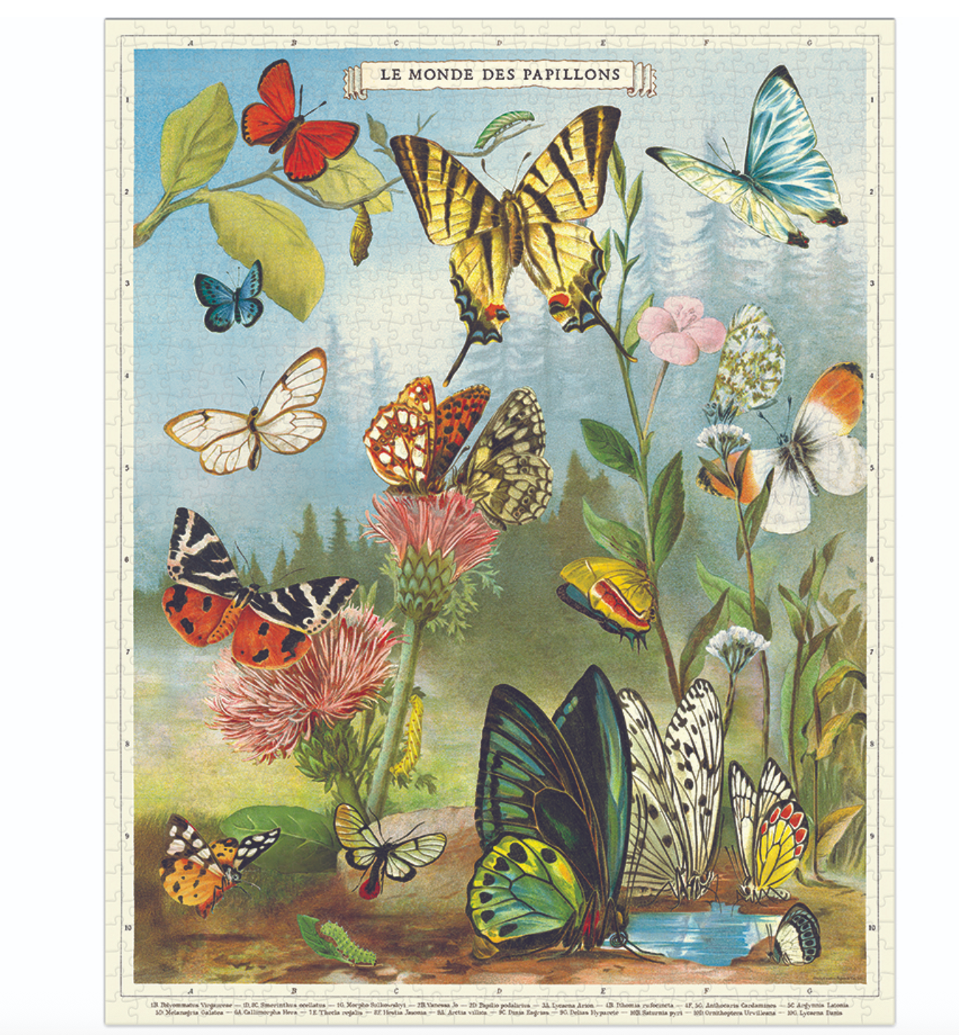 Butterflies 1000 Piece Puzzle