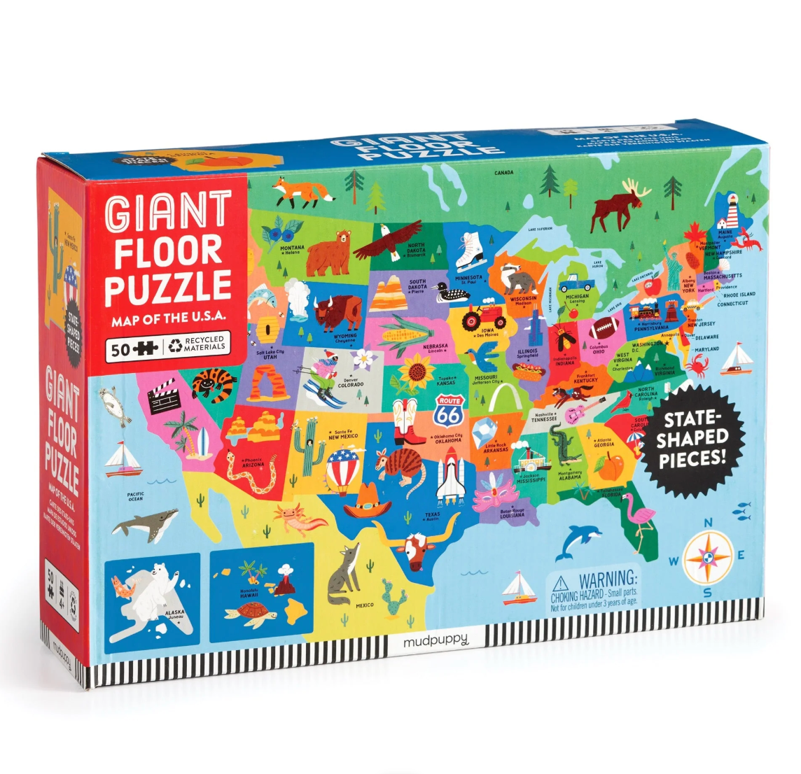 USA Map Puzzle- 50 Pieces