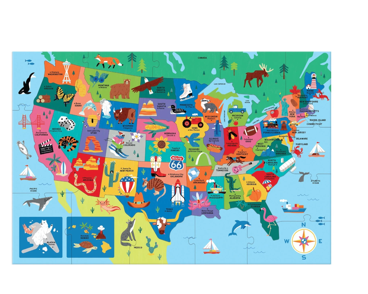 USA Map Puzzle- 50 Pieces