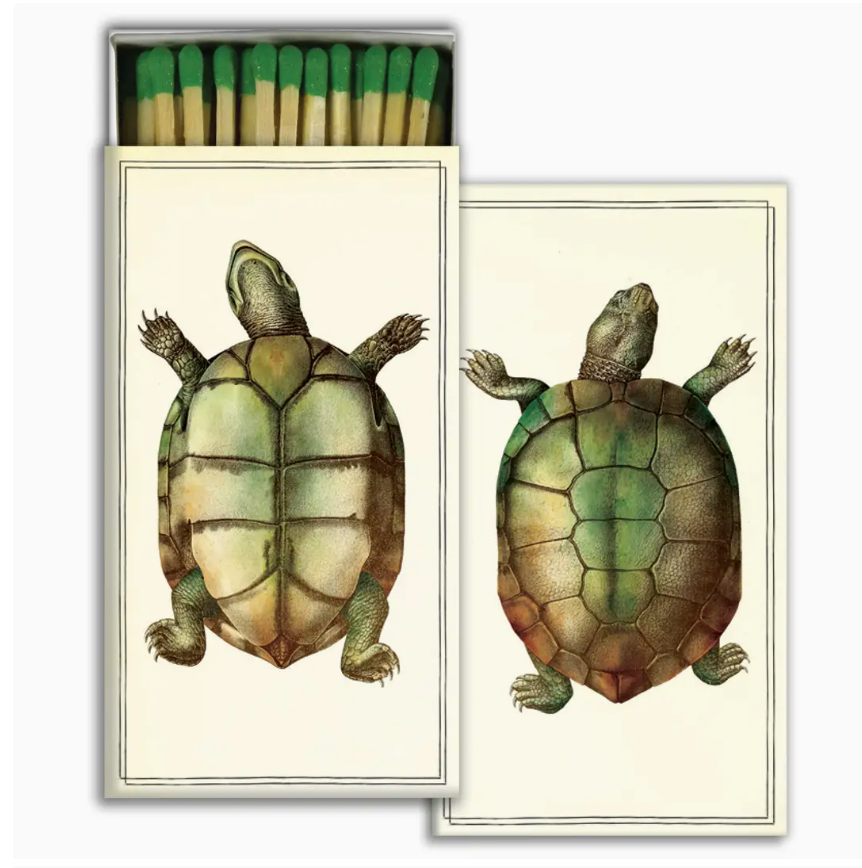 turtles: match box