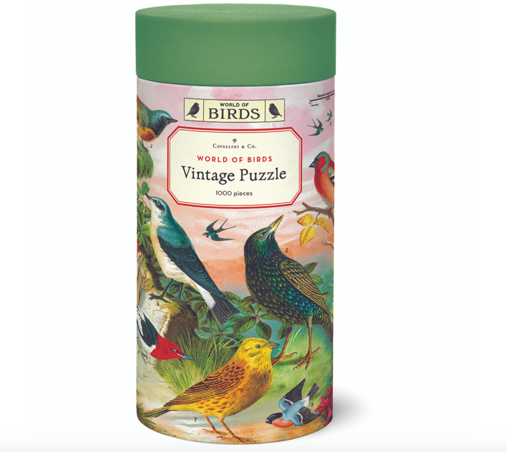 World of  Birds 1,000 Piece Puzzle