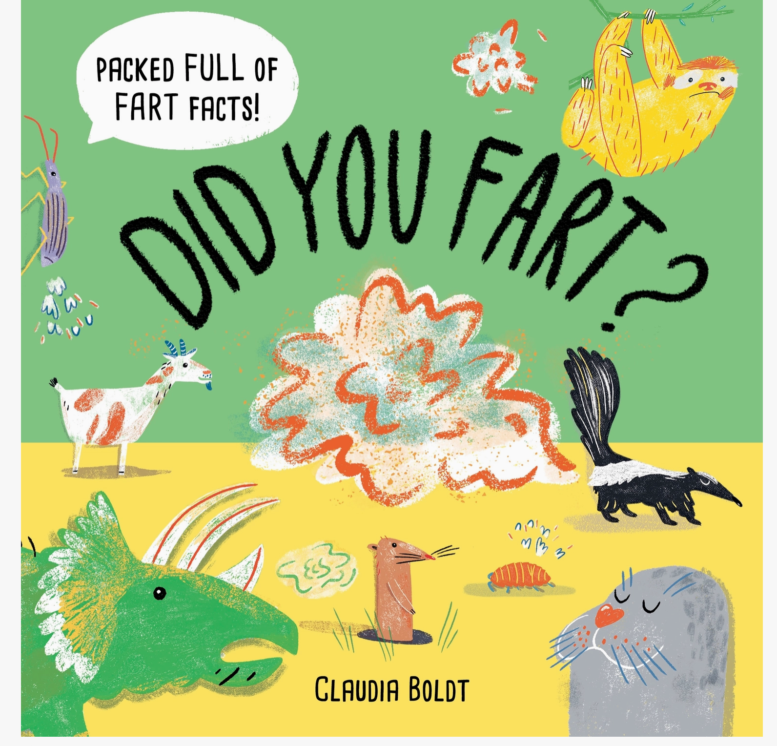 did you fart? book