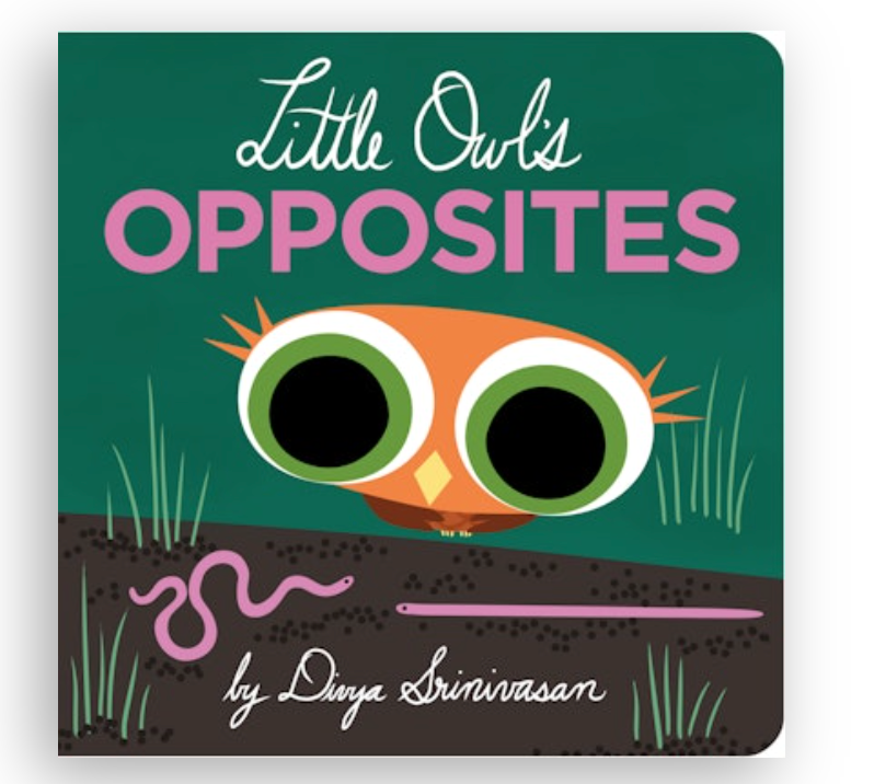 Little Owl Opposites