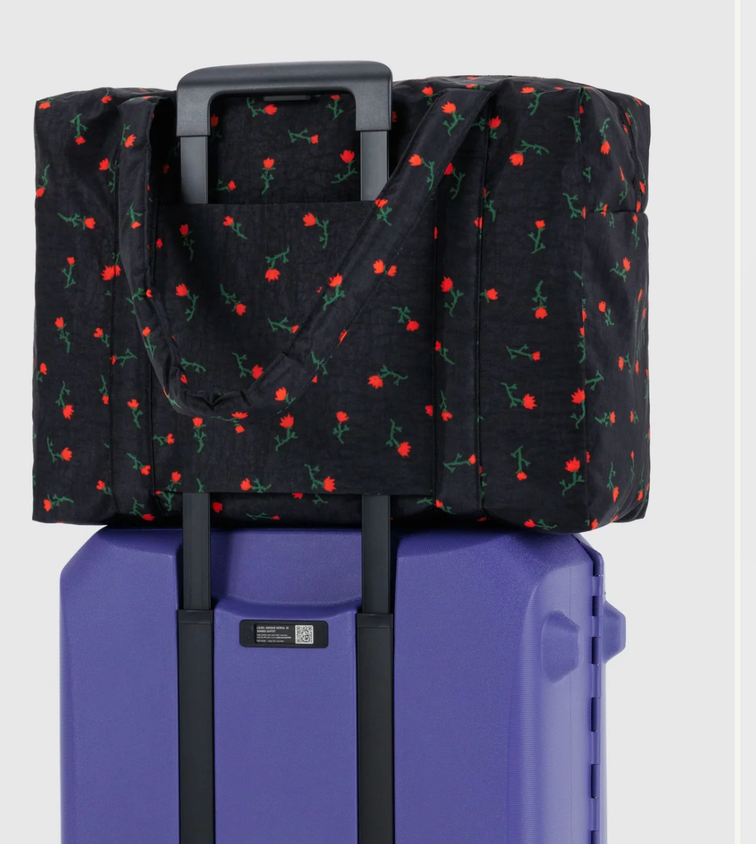 painted wildflower: cloud carry-on BAGGU: