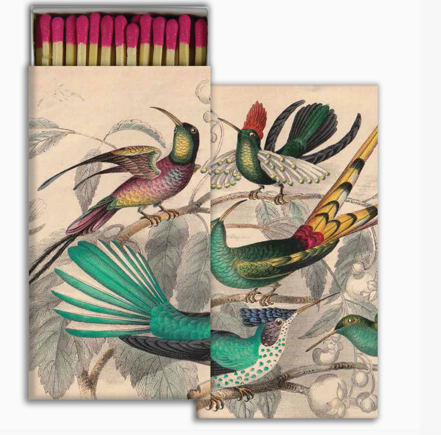Rare Birds : match box
