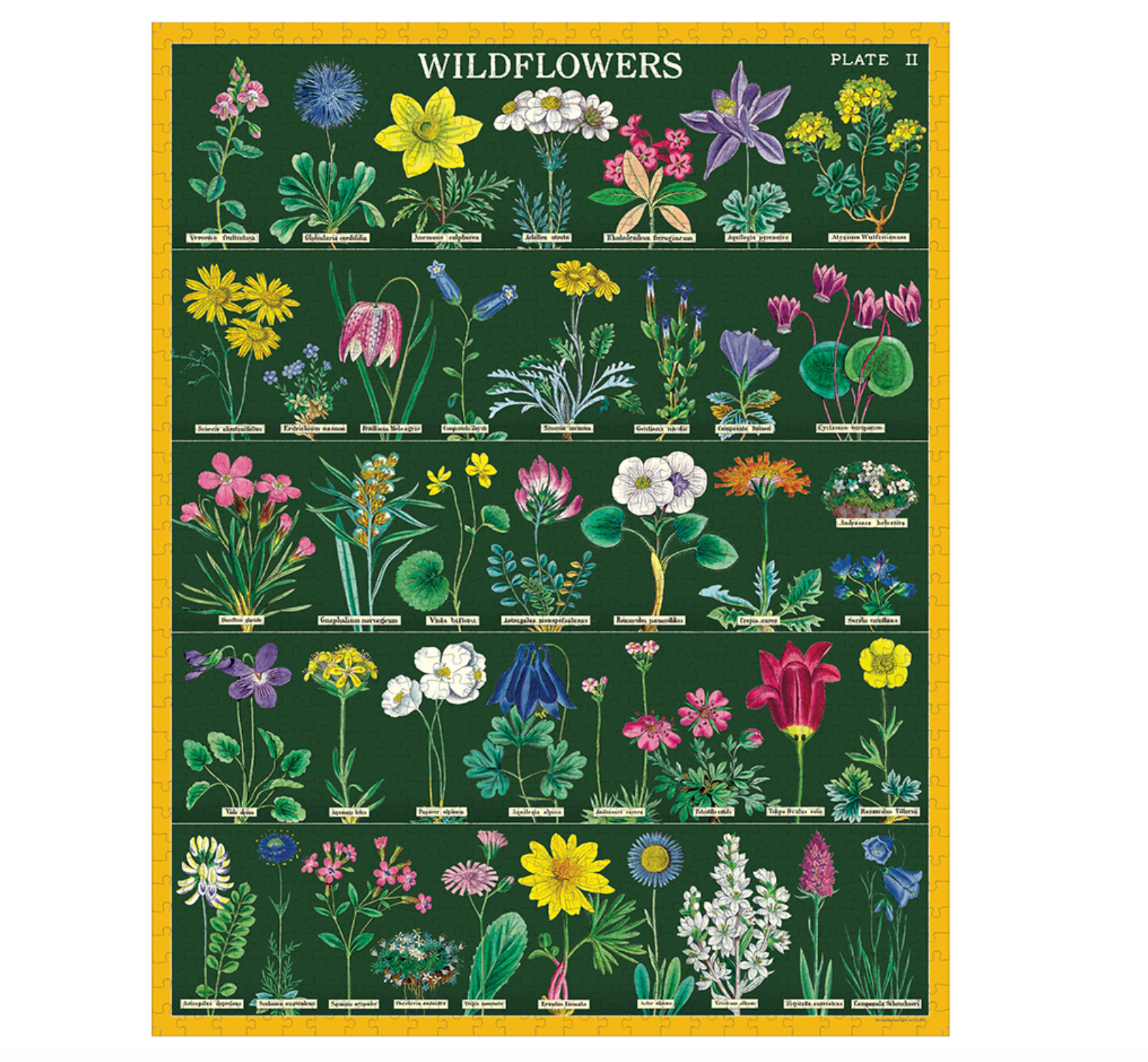 Wildflowers(2) 1,000 Piece Puzzle