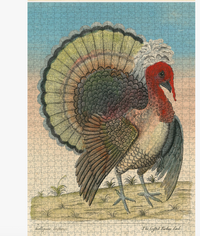 John Derian Paper Goods: Crested Turkey 1,000-Piece Puzzle