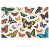 butterfly flight - paper placemat