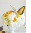 butterfly accent table card