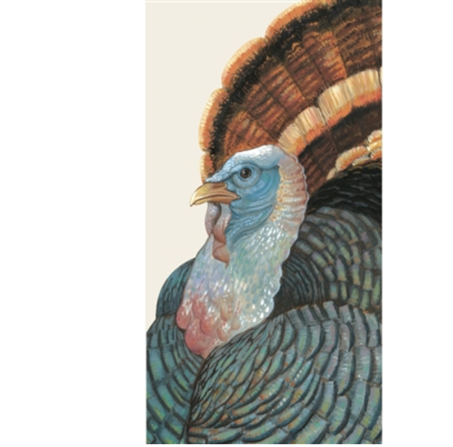 turkey: napkin (+ sizes)