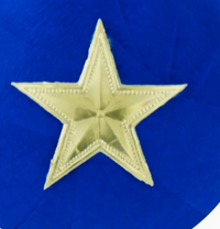 STAR Surprise celebration Ball : Deluxe