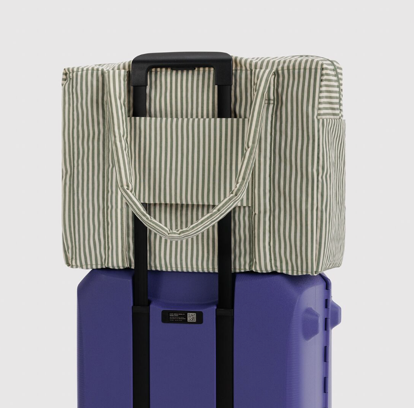 sage stripe: cloud carry on