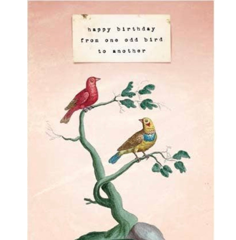 Odd bird Birthday : greeting card