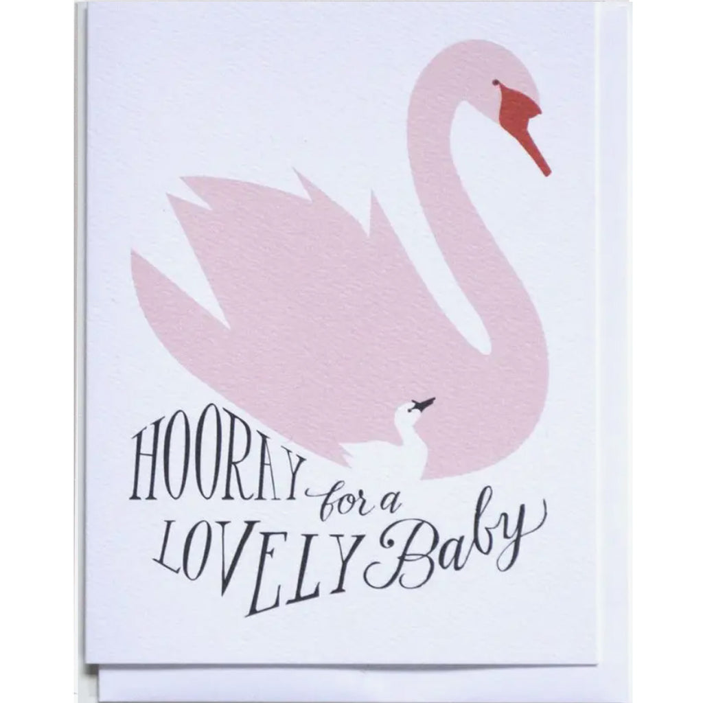 baby swan greeting card