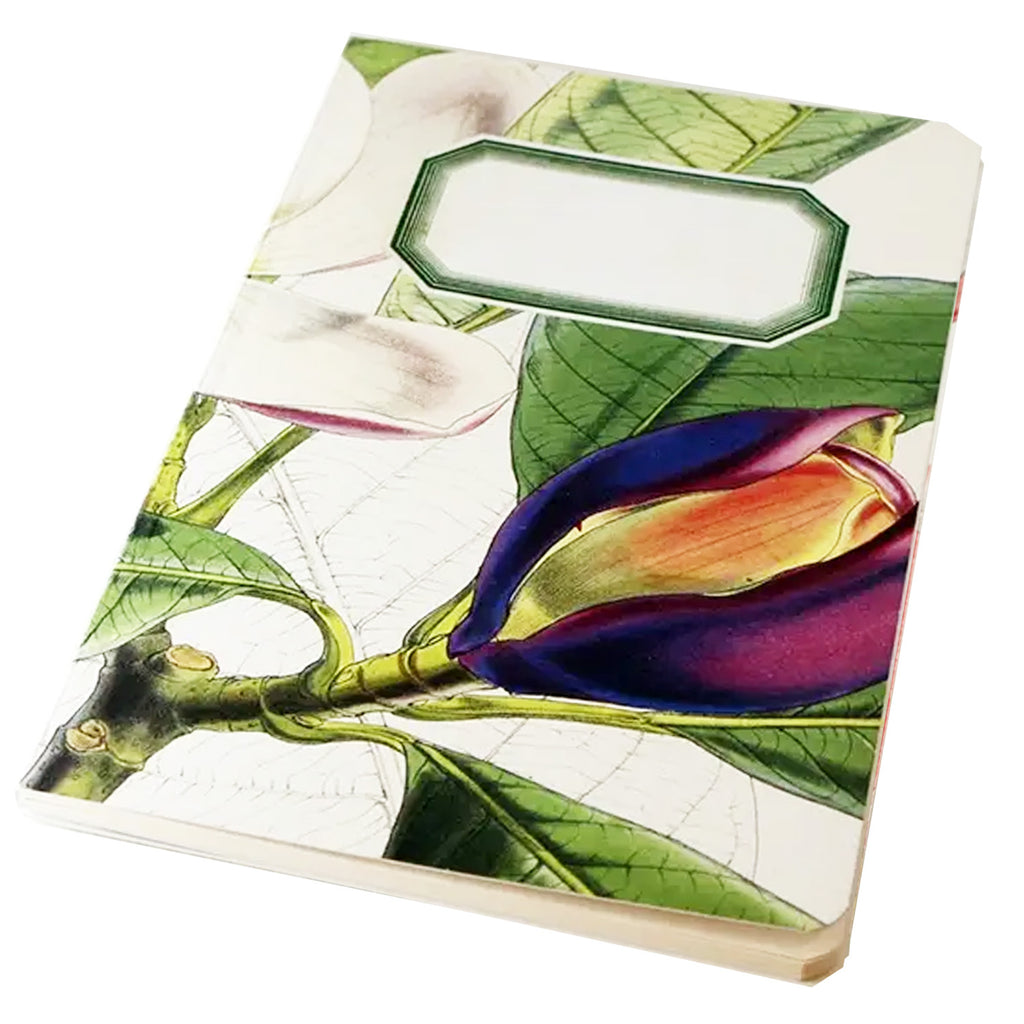Magnolia2 Botanical notebook