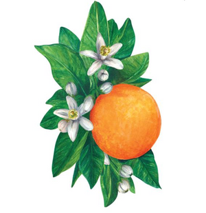 orange blossom: table accent