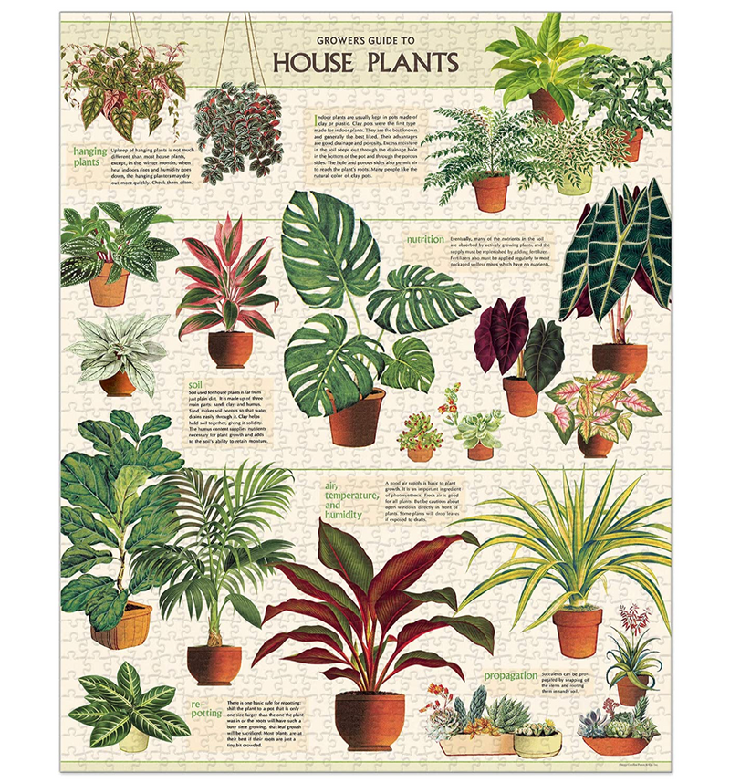 House Plant 1000 Piece Puzzle