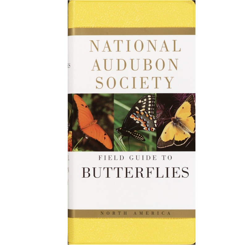 Butterflies : National Audubon Society Field Guide