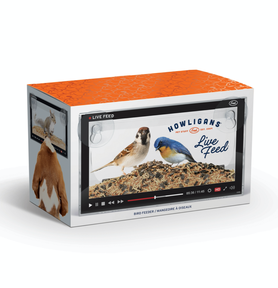 Live Feed Bird Feeder