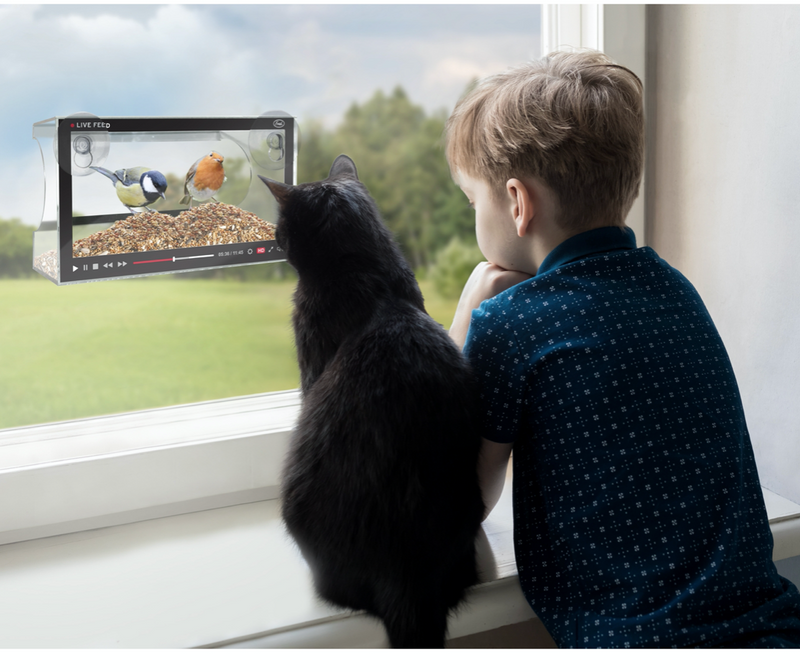 Live Feed Bird Feeder