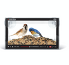 Live Feed Bird Feeder