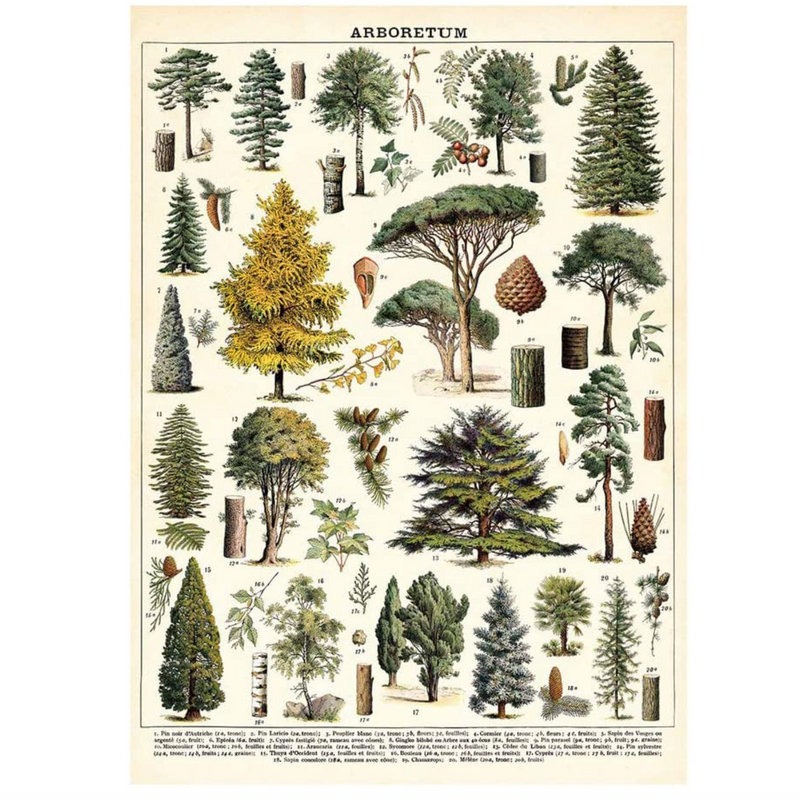 Arboretum Poster