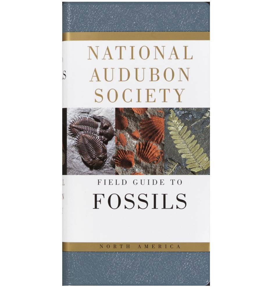 Fossils :National Audubon Society Field Guide