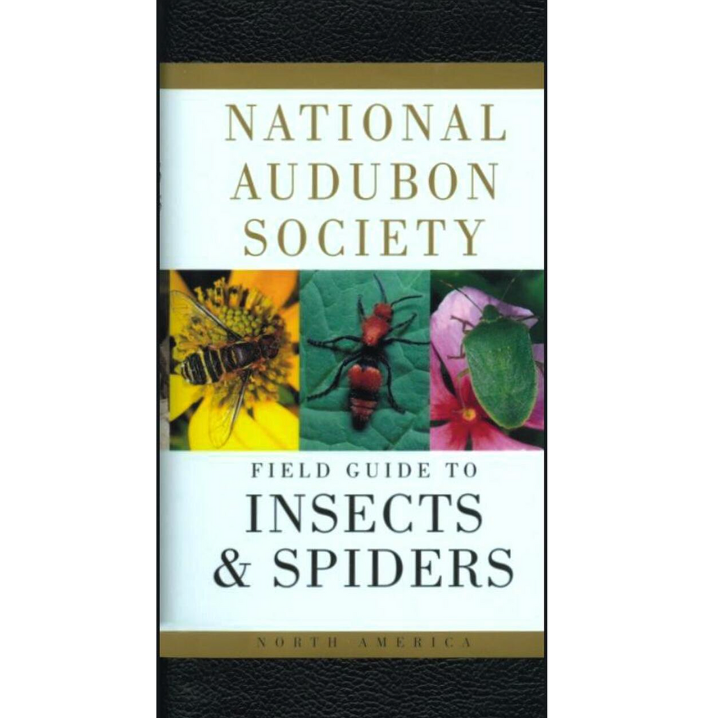 Insects and Spiders : National Audubon Society Field Guide
