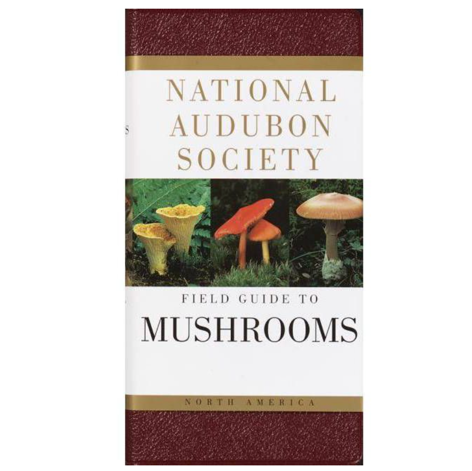 Mushroom: National Audubon Society Field Guide