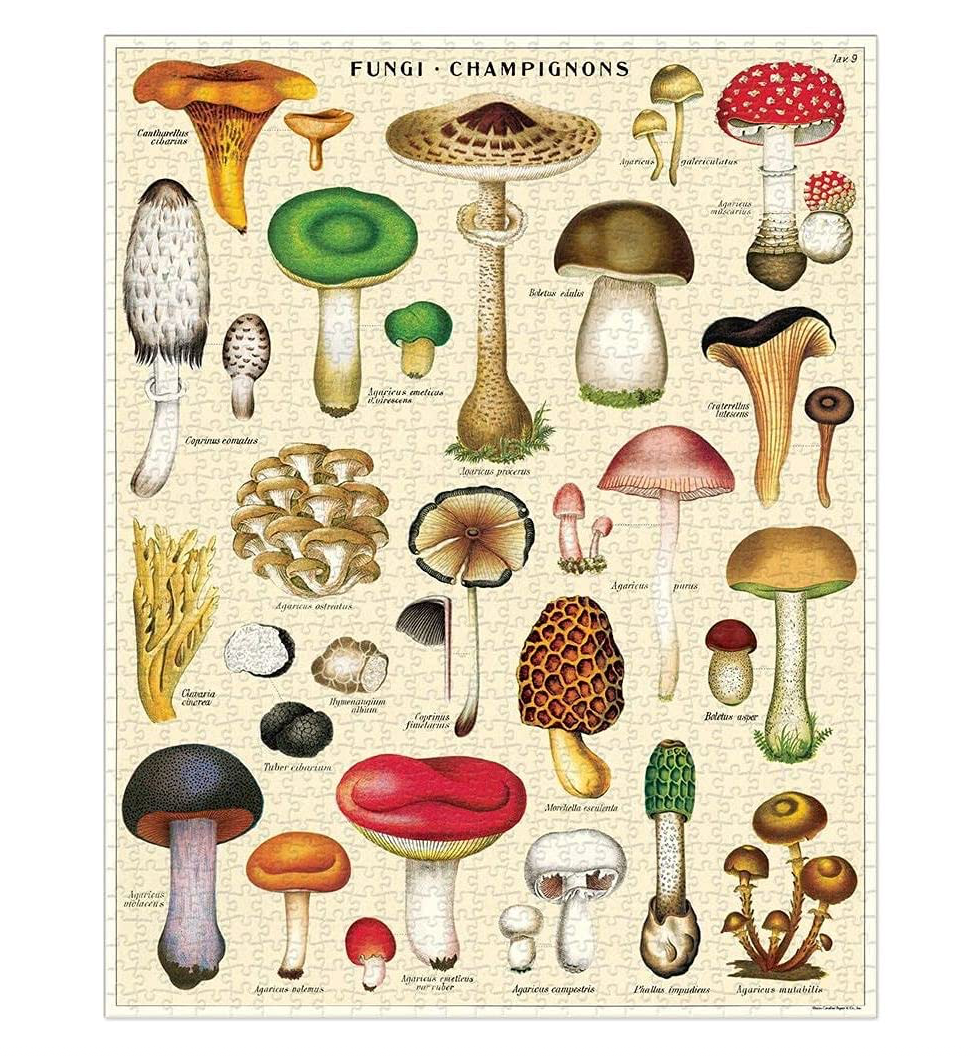 Mushroom 1000 Piece Puzzle