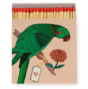 parrot: big box matches
